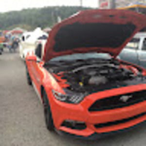 Meet your Posher, Vince